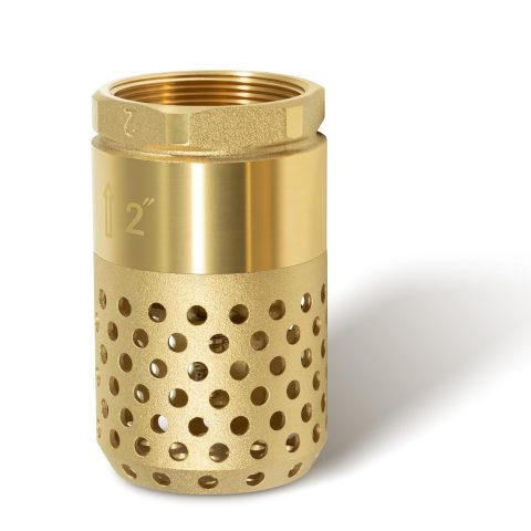 Brass foot valve family reference image