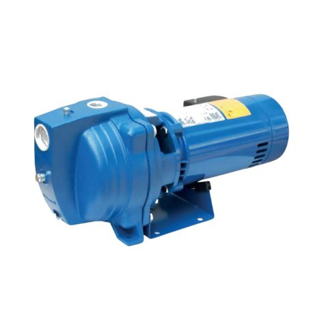 Dayuan DAS Shallow Well Jet Pump — clean catalog product photo; representative model photo; exact variant may differ