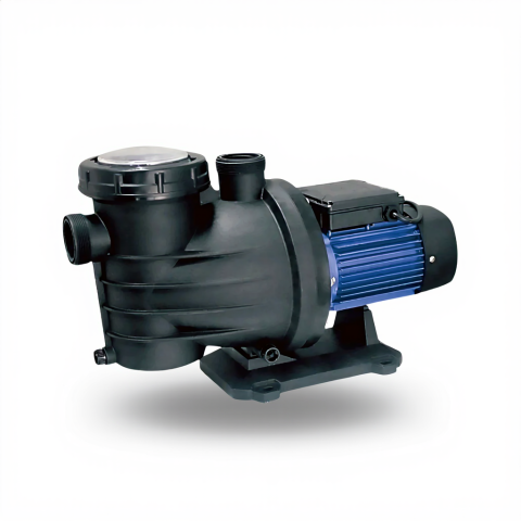 Dayuan DSWm Series Swimming Pool Pump — digitally recreated representative product illustration, actual variant may differ
