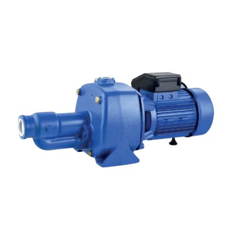 Dayuan JA Self-Priming Jet Pump — clean catalog product photo; representative model photo; exact variant may differ
