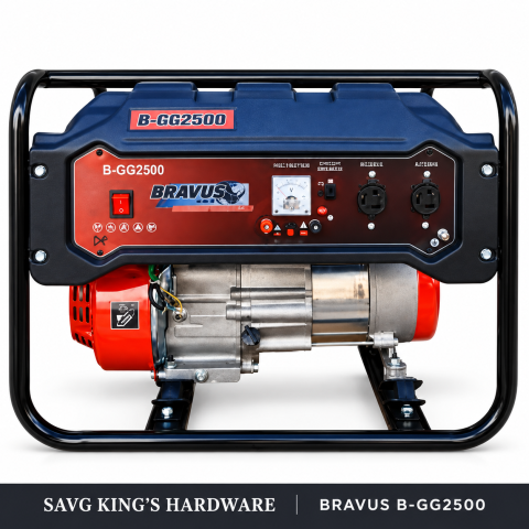 Bravus B-GG2500 Gasoline Generator — generator unit only